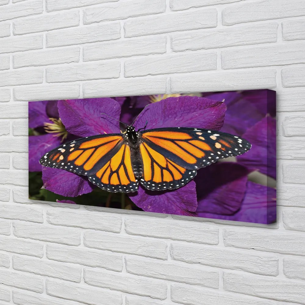 Canvas képek Színes pillangó virágok 120x60 cm