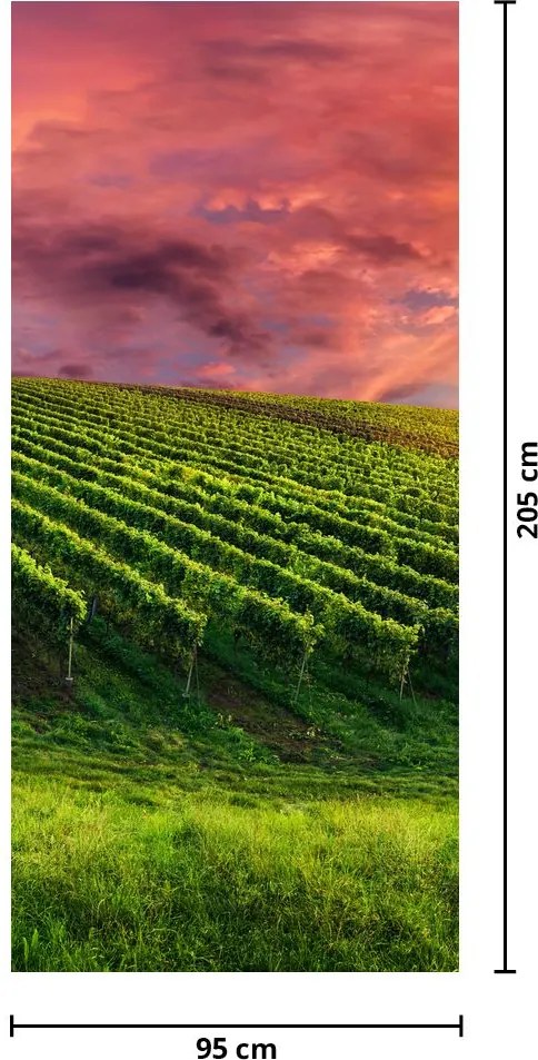 Fotótapéta ajtóra - Szőlőskert színes égbolttal (95x205cm)