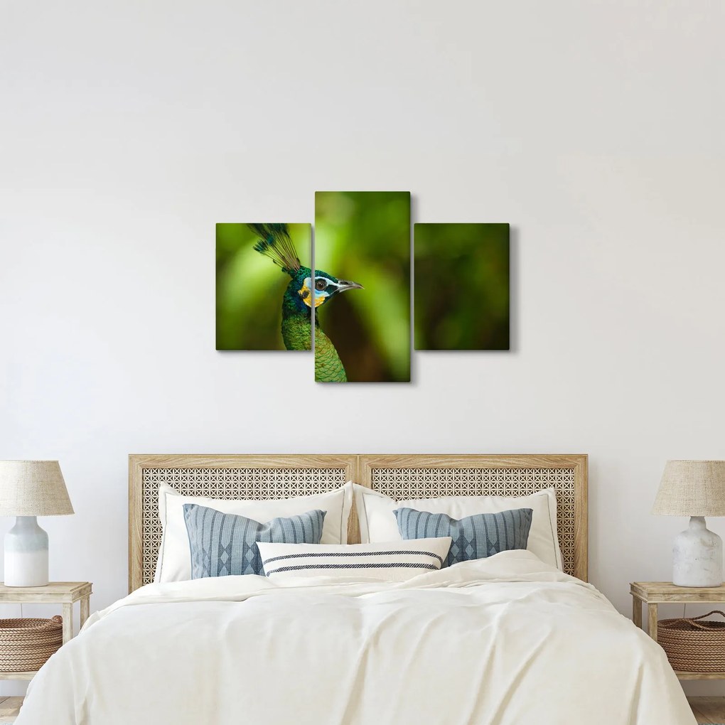 Páva képe (90x60 cm)