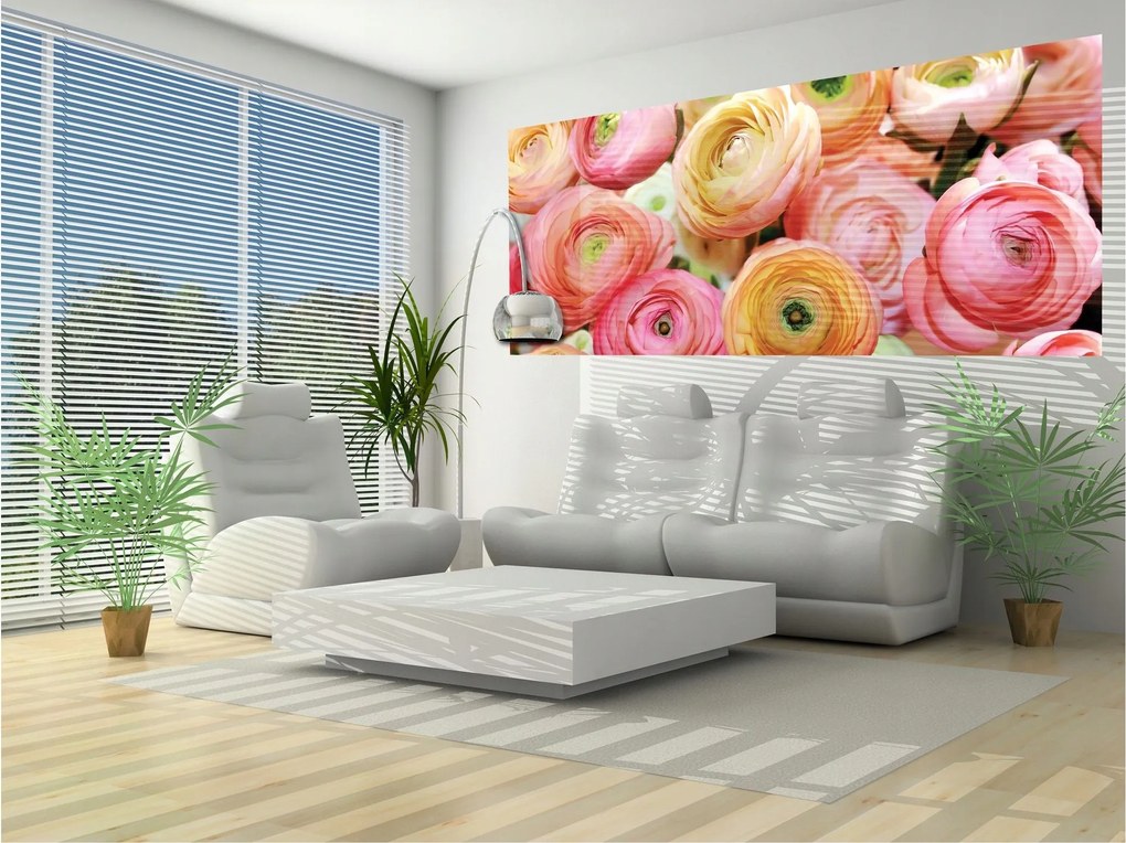 Ranunculusy fotótapéta pasztell frissesség a falakon 250x104 +ragasztó