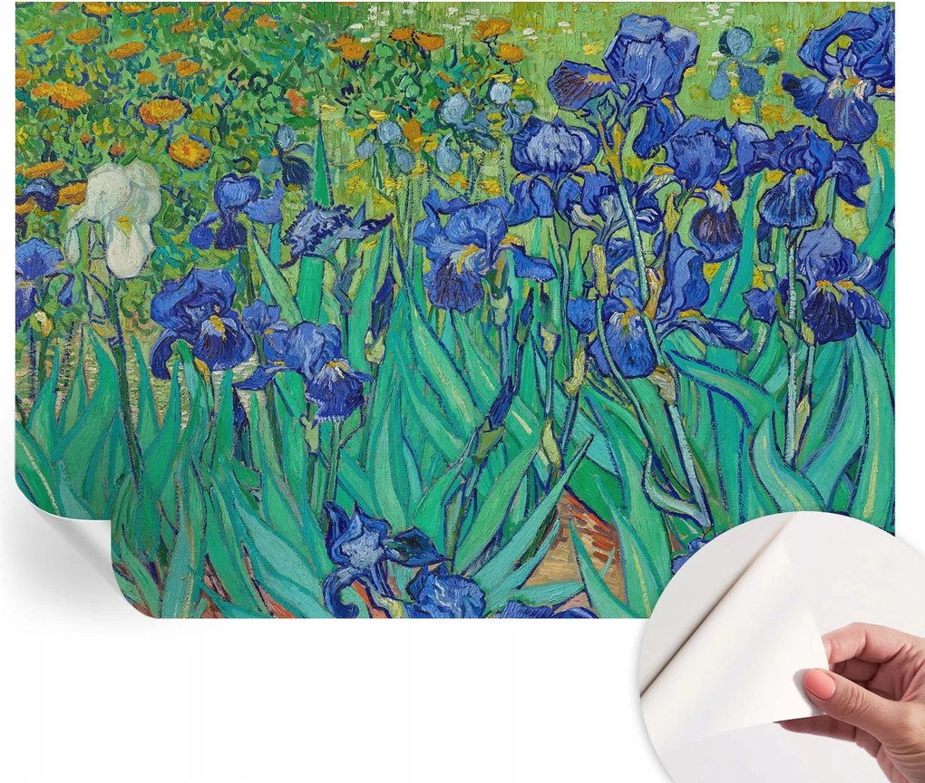 Mosható öntapadós fotótapéta étkezőbe Kerti virágok 312x219 cm