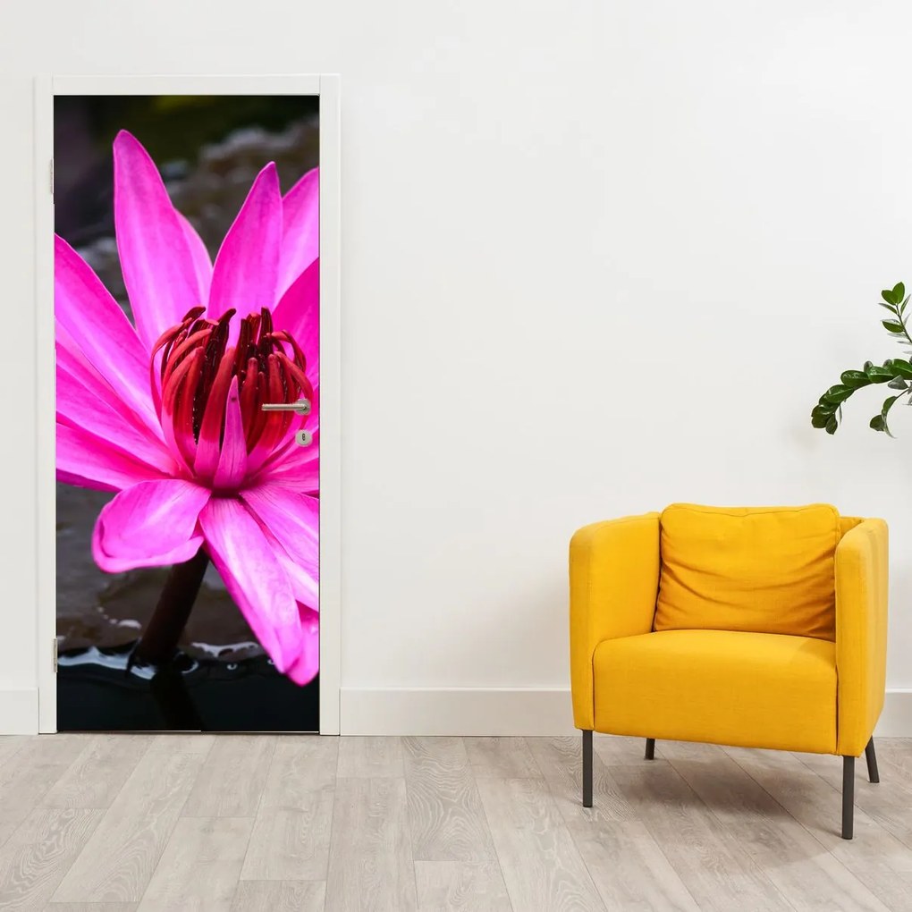 Fotótapéta ajtóra - Rózsaszín virág (95x205cm)