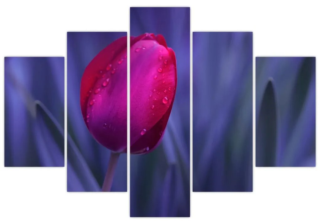 Tulipán bimbó képe (150x105 cm)