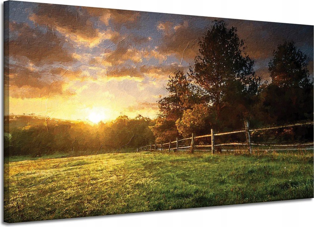 Vászonkép Nap Tájkép Vidéki fák Rét 120x70 cm