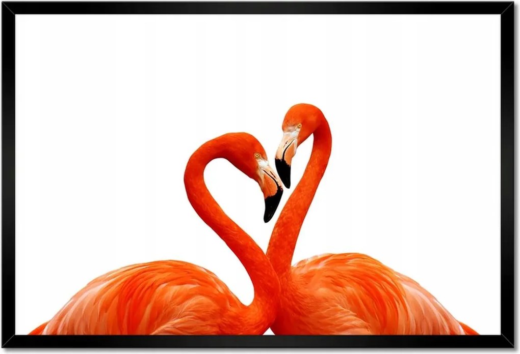 Poszterek keretben 60x40 Szerelmes flamingók