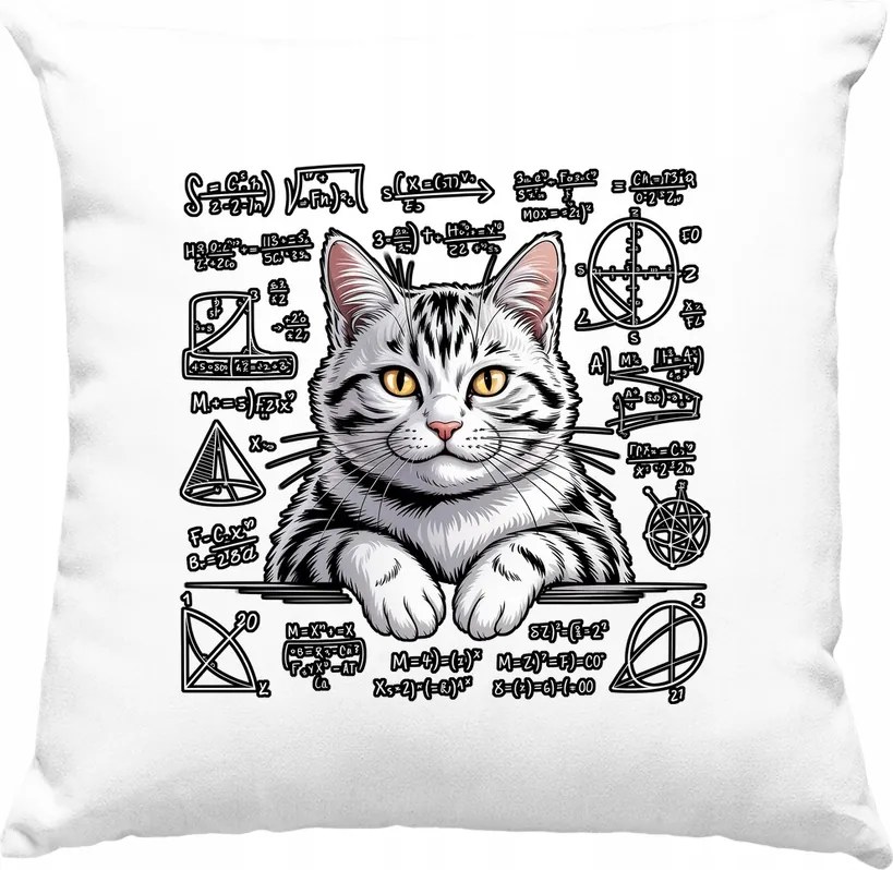 Cica párna cica matematika formula 2 fehér