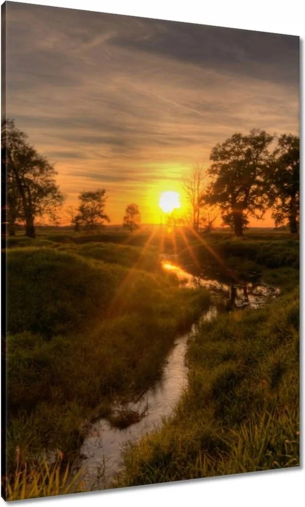 Vászonkép 70x100 Lenyugvó nap Rogalin