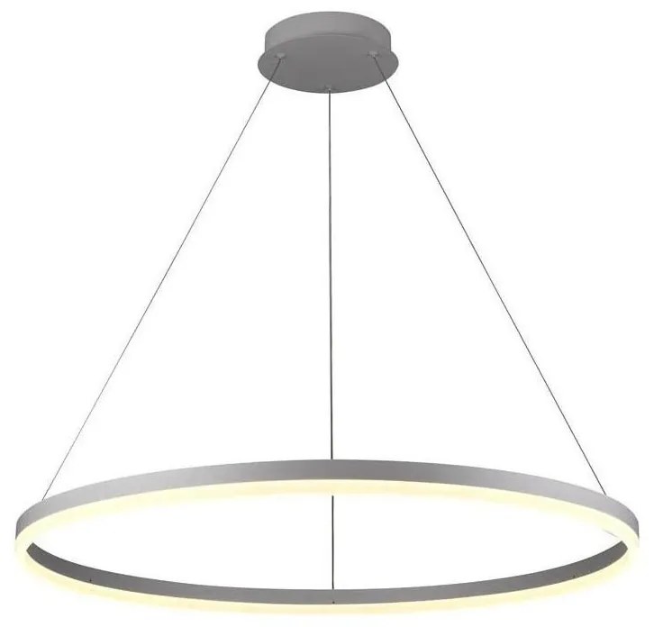 Brilagi -LED Dimmelhető csillár zsinóron CIRCLE LED/55W/230V 3000-6500K ezüst + távirányító