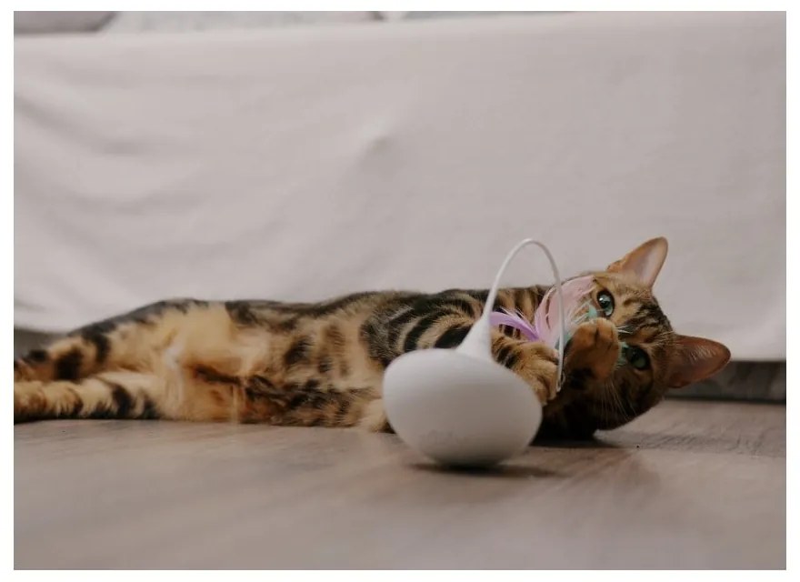 Macskajáték Epic Pet Interactive – Plaček Pet Products