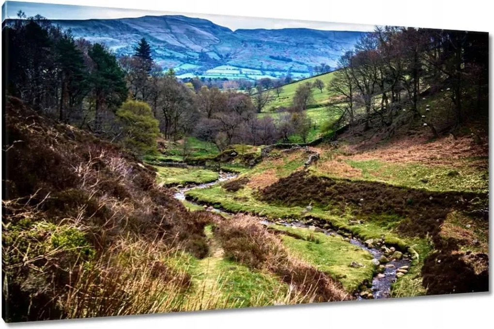 Vászonkép 120x70 Hegyi táj Patak a hegyekben