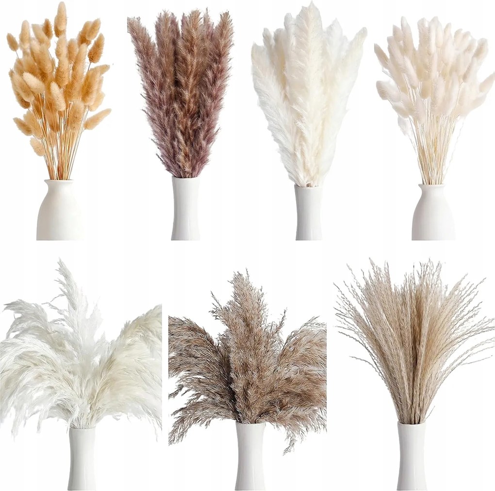 Díszfű Pampas Dekoratív Szárított Pampas Váza Fúvós Csokor