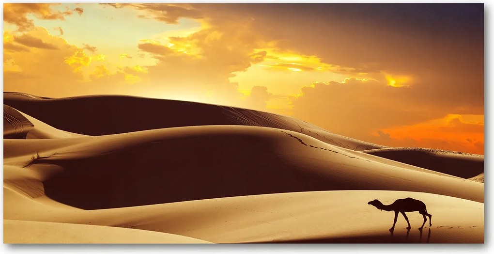 Fotótapéta üvegfalra Szahara teve 140x70