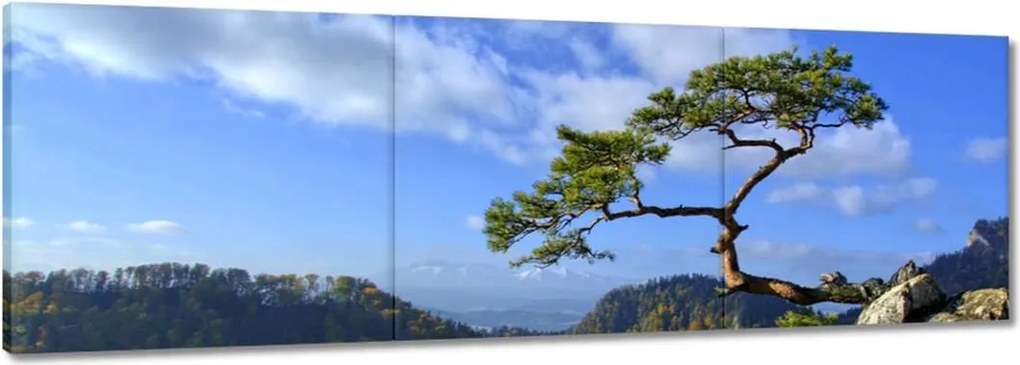 Vászonkép 90x30 Tájképek Kilátások Tájképek