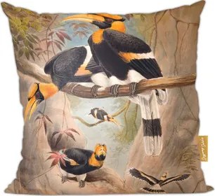 Concave casque párna Hornbill Joseph Wolf Művészet