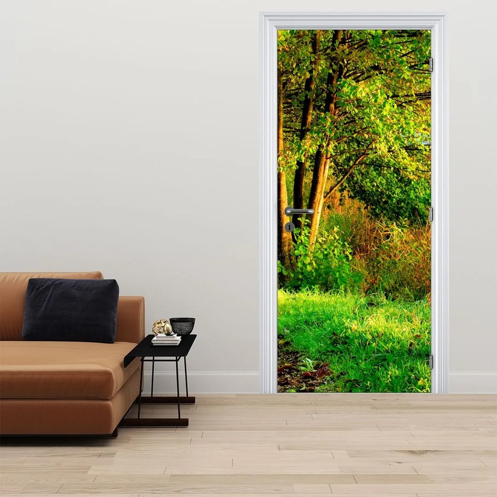 Fotótapéta ajtóra - Sétány a víz mentén (95x205cm)