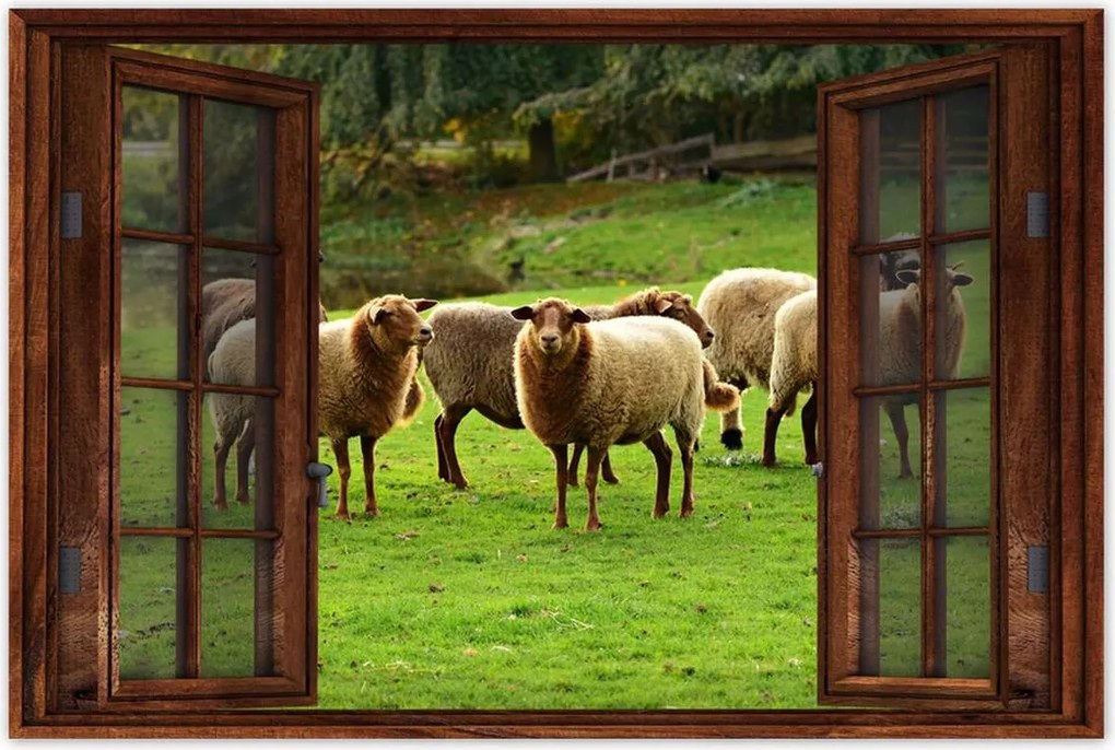 Poszterek 60x40 Juh legeltetés Bárányok