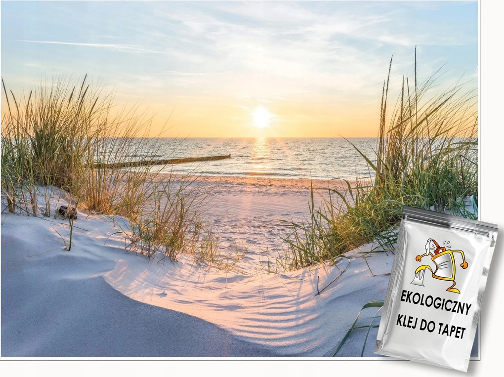 Fotótapéta Tengerpart Dűnék Balti-tenger Kilátás A Nappali Hálószobájába Tapéta 350x250