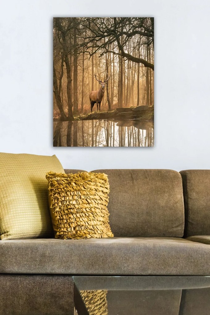 Vászonkép, 50×70 cm – TR529TCR1697