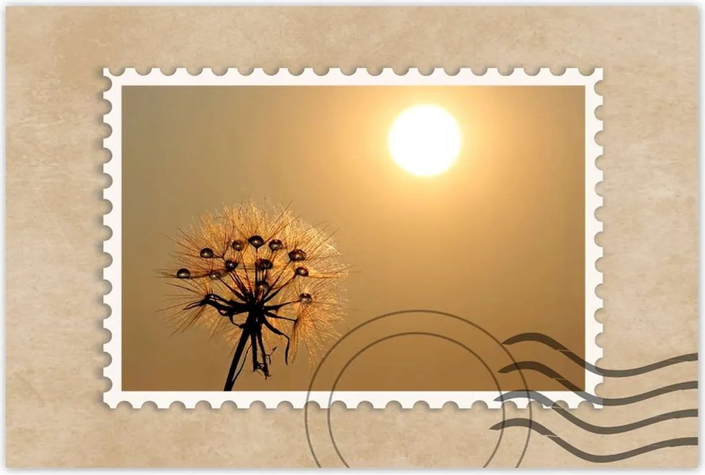 Poszterek 90x60 Pitypang Virág Virágok