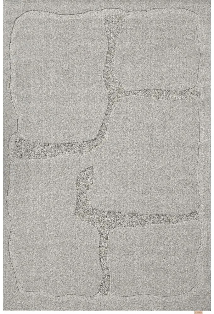 Szürke gyapjú szőnyeg 133x190 cm Morphic Organica – Agnella