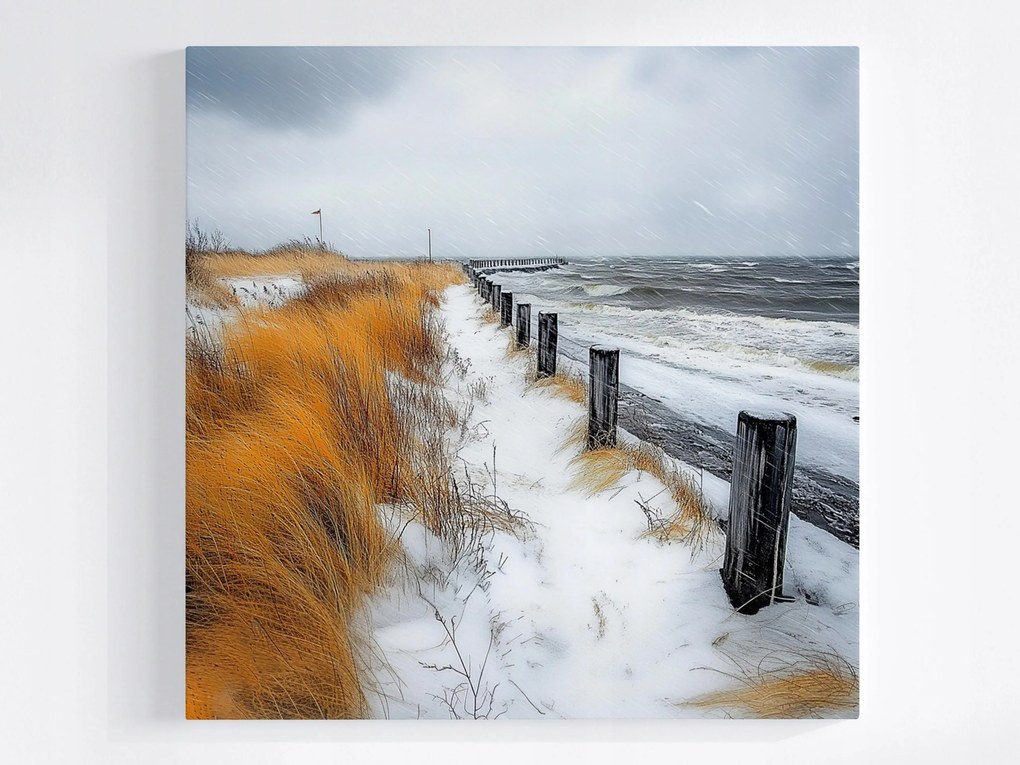 Poszter Téli Tengerpart Hó Tenger Hullámok Vihar Nád 80x80