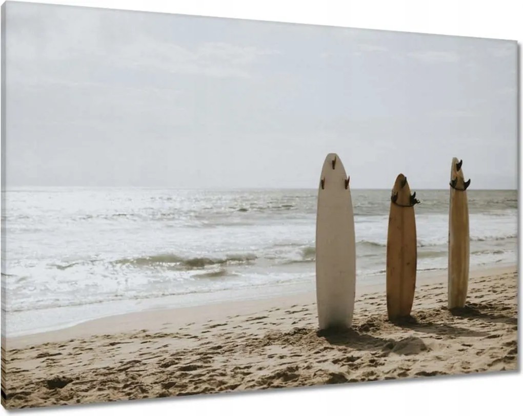 Vászonkép 100x70 Szörfdeszkák bézs