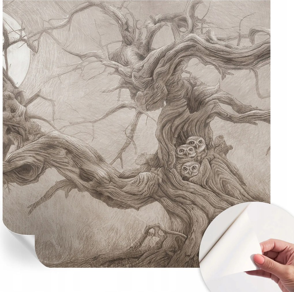 Öntapadós Dekoratív Fotótapéta Hálószobába Éjszakai madarak 250x250 cm