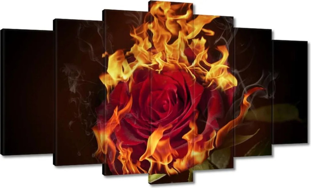 Vászonkép 140x80 Vörös lángoló rózsa