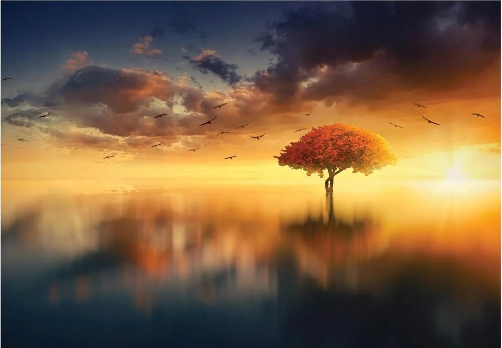 Fotótapéta Fa Nap Fotótapéta +ragasztó 416 x 254 13003VEXXXL