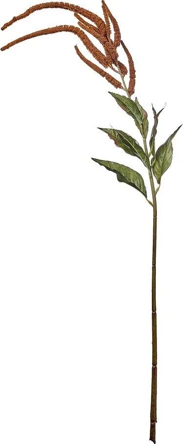 FLORISTA köles virág 110 cm ,barna