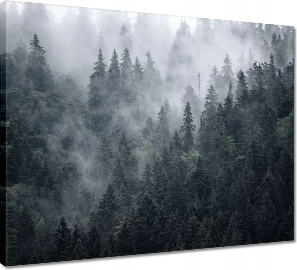 Vászonkép 50x40 Ködös hegyi táj