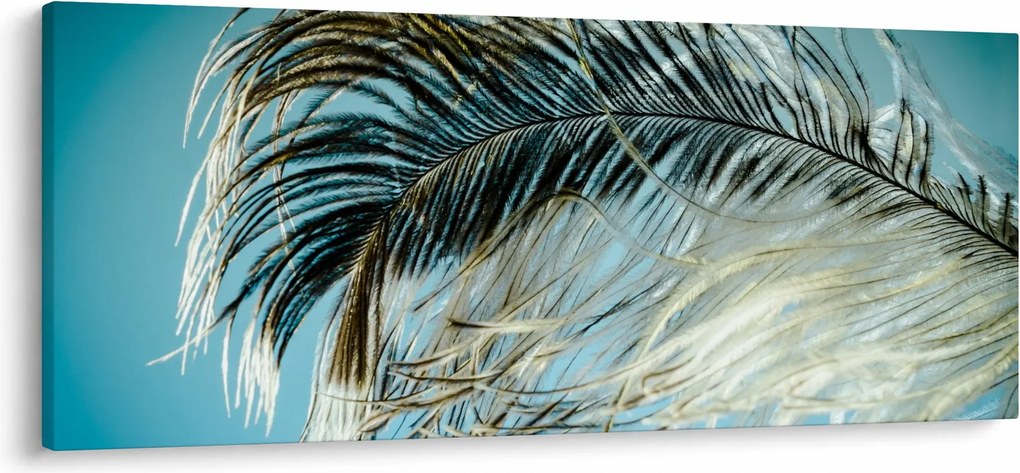 Tollas kép (120x50 cm)