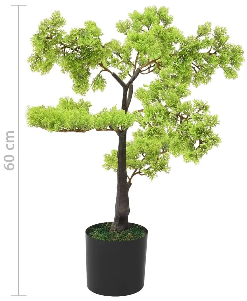 zöld cserepes mű ciprusbonsai 60 cm