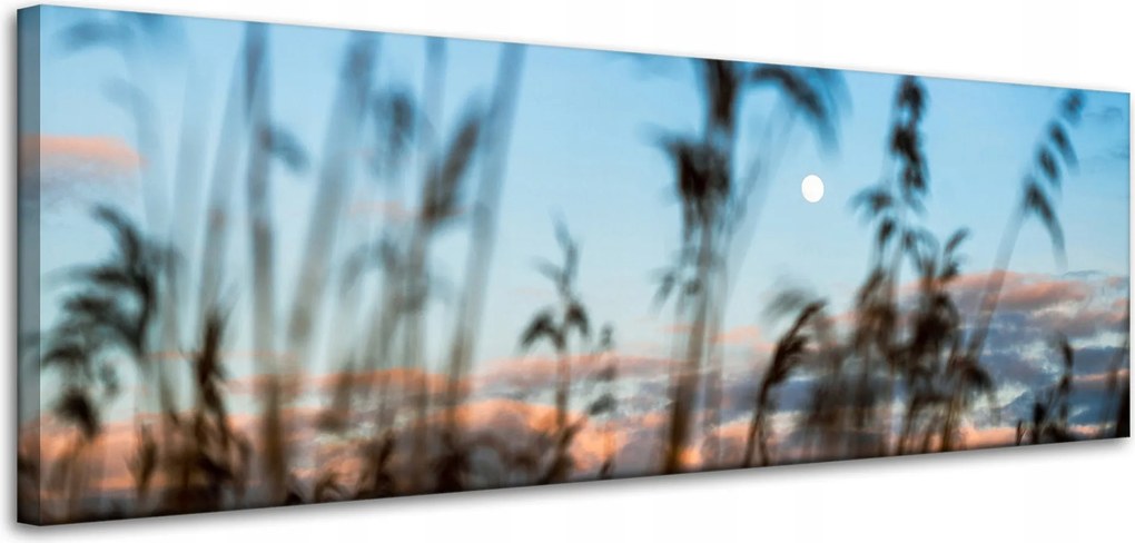 Vászonkép Természet Mező Rét Napfelkelte 120x40