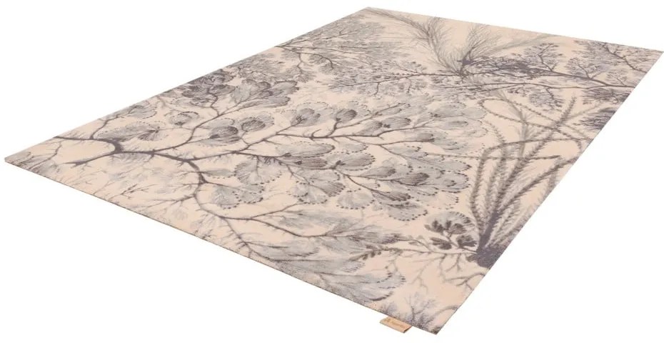 Mentazöld-bézs gyapjú szőnyeg 133x190 cm V&amp;A Calisia Kelp – Agnella