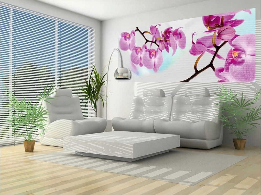 Fotótapéta Orchideák rózsaszín virágok elegancia hálószoba 250x104 +ragasztó