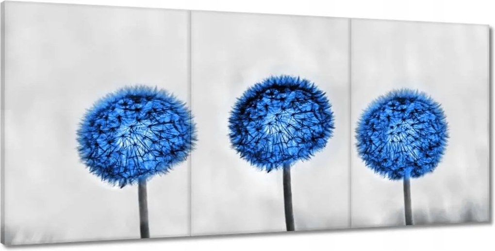 Képek 210x100 Kék pitypangok