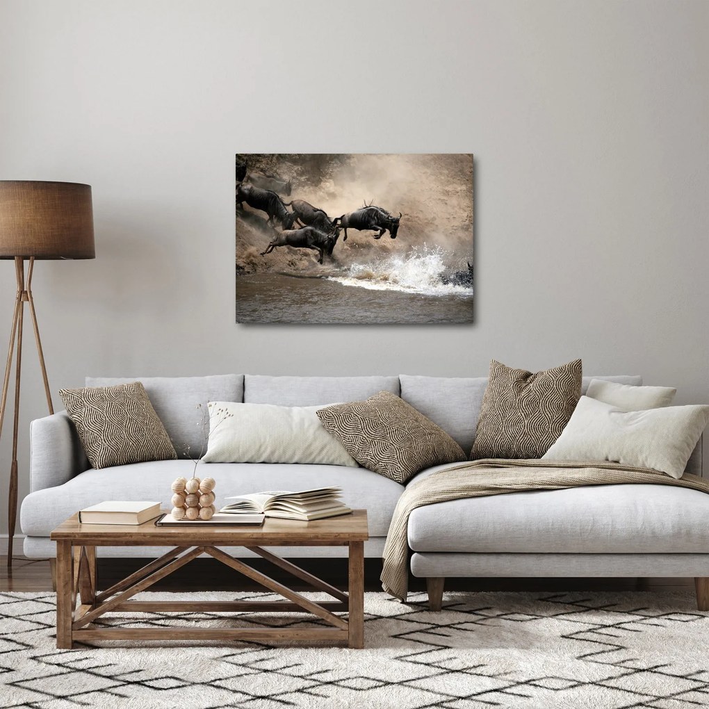 Kép - Gnúcsorda (70x50 cm)
