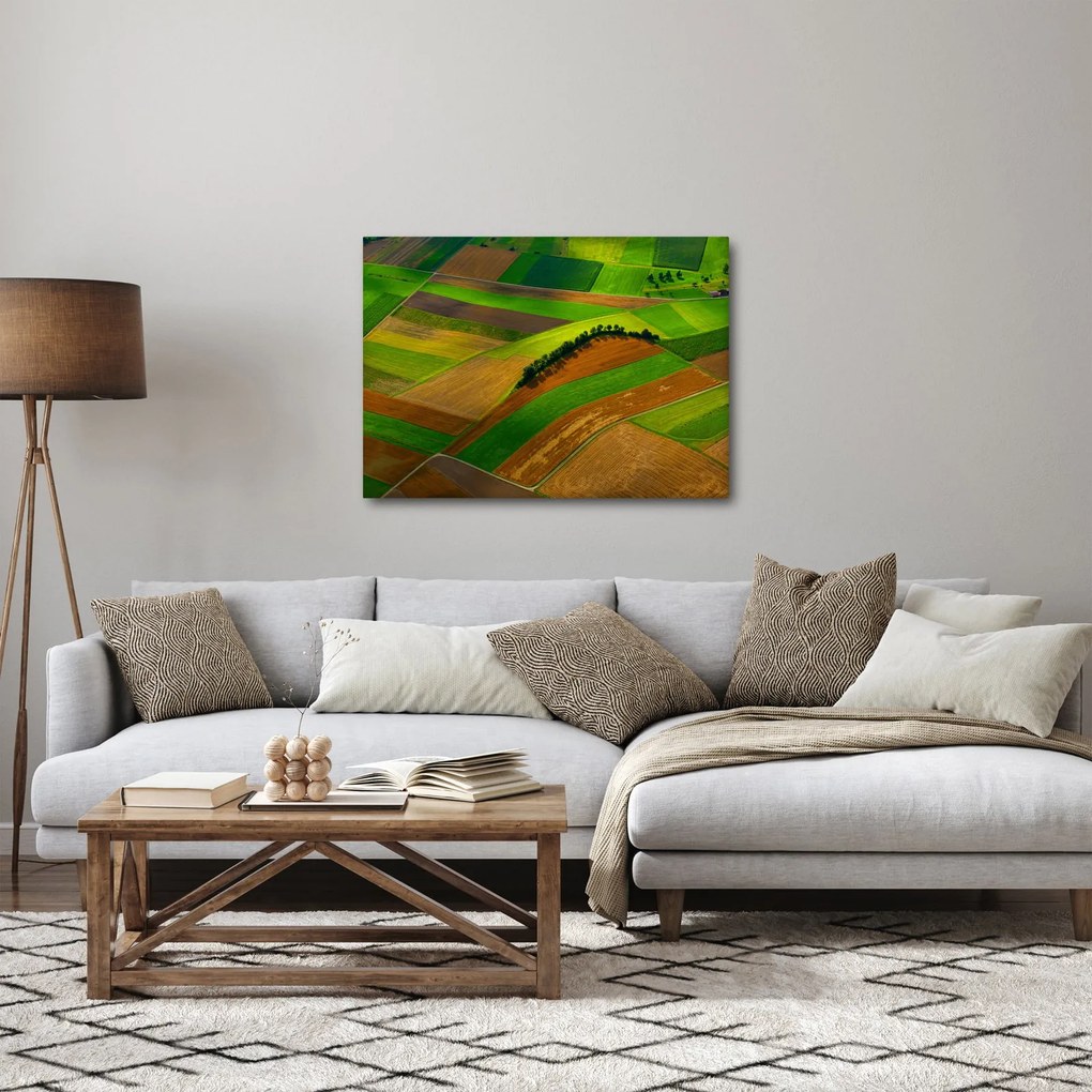 Kép - Mezők, rétek (70x50 cm)