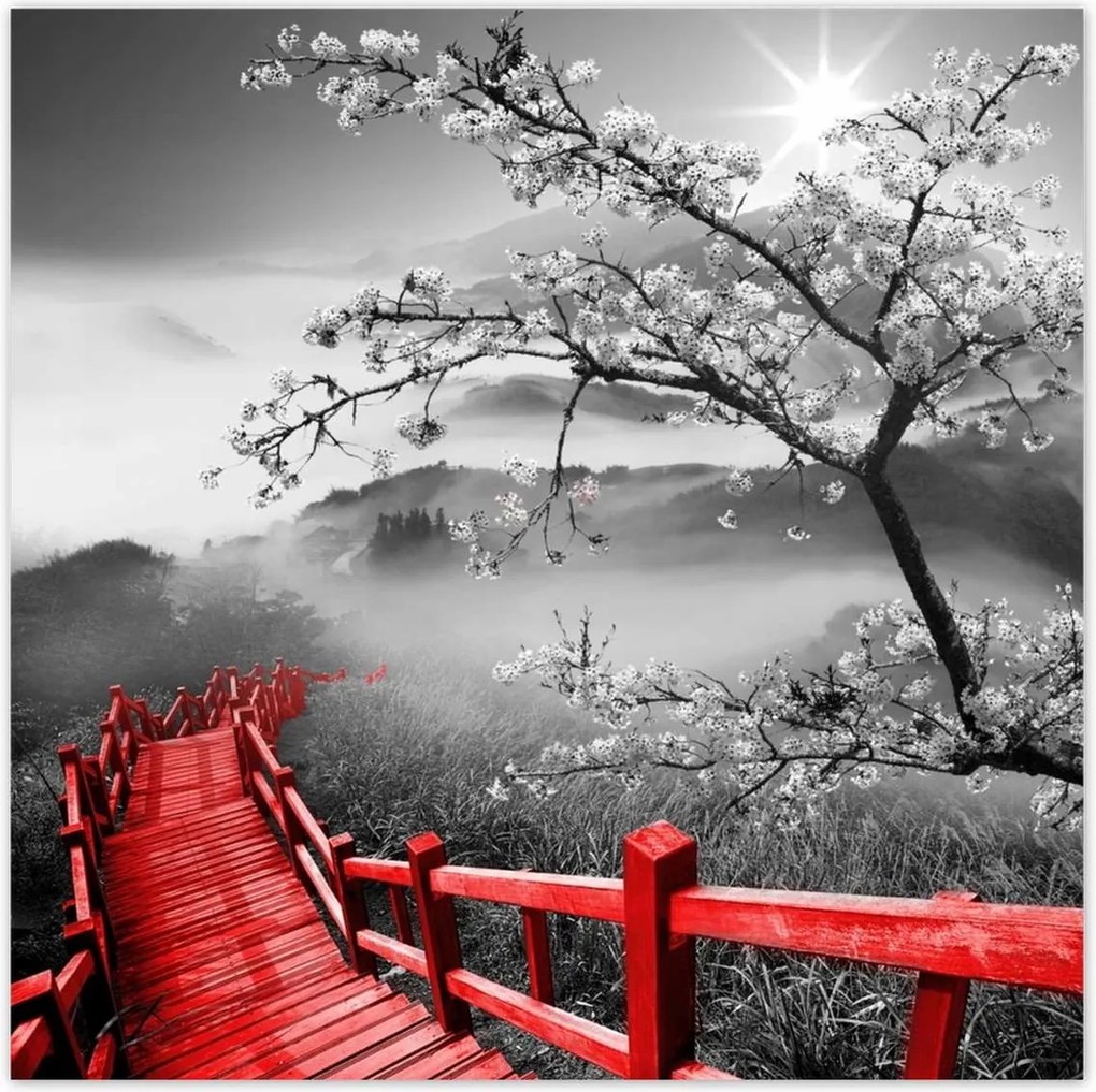 Poszterek 70x70 Virágzó cseresznye Japán