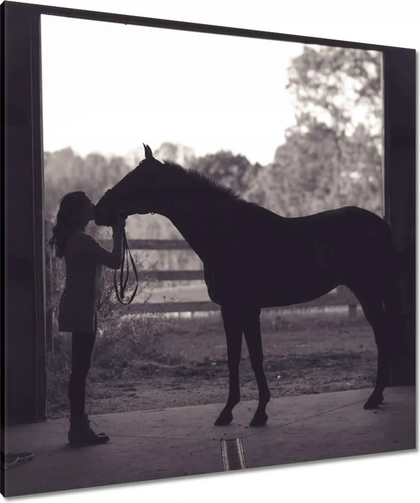 Vászonkép 90x90 Ló Lovak Lovaglás