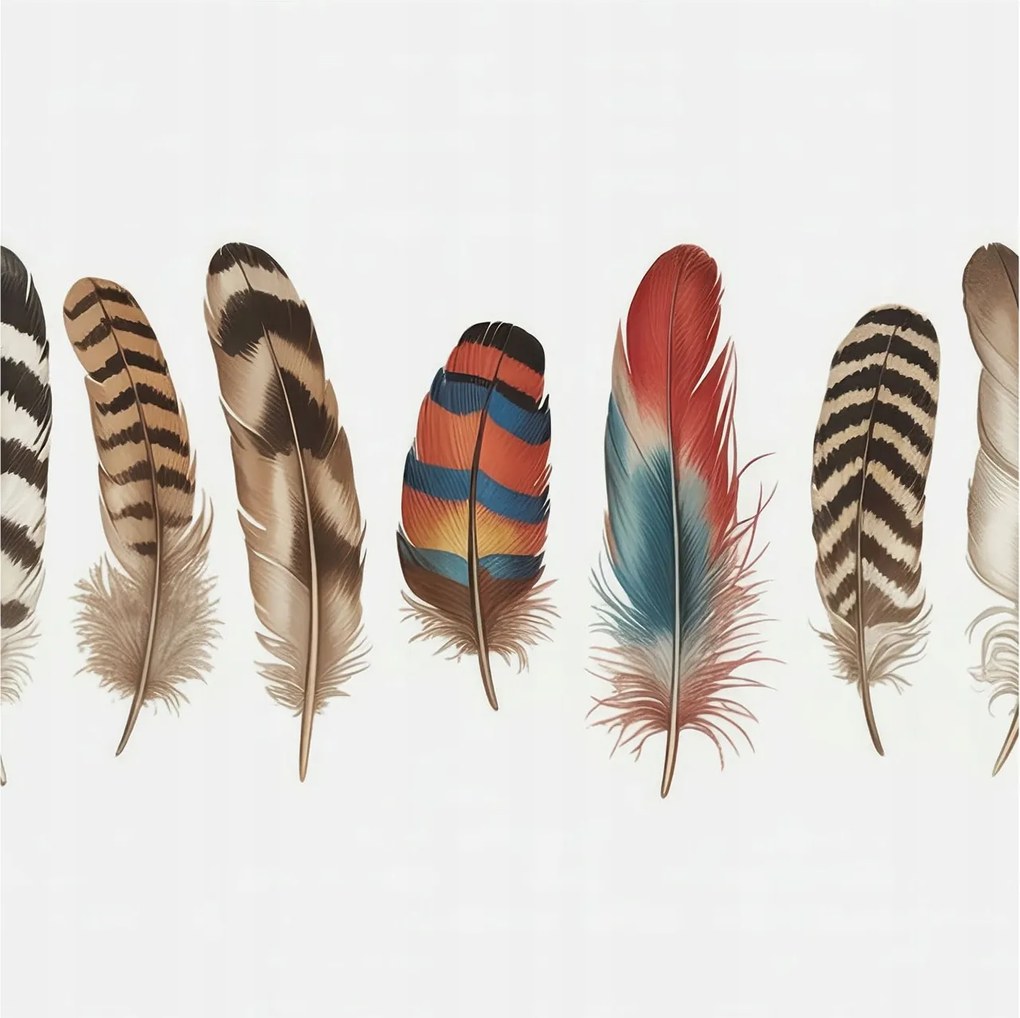 Fotótapéta Dekoratív Fali Tapéta Képek Színes tollak 250x250