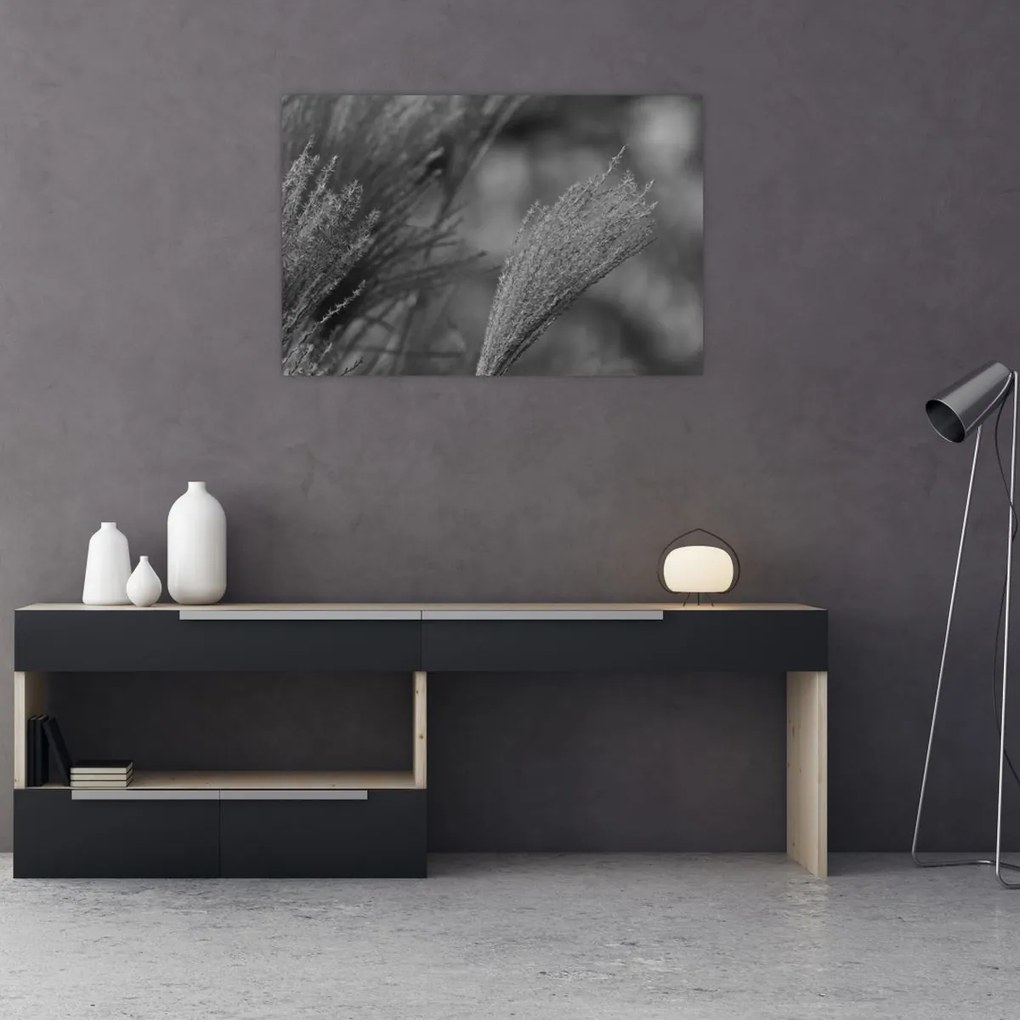 Kép - Szárított pampafű (90x60 cm)