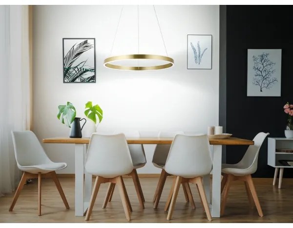 Eglo 33484 - ALCAZABA LED csillár kábelen 2xLED/18W/230V 3000K átm. 55 cm arany