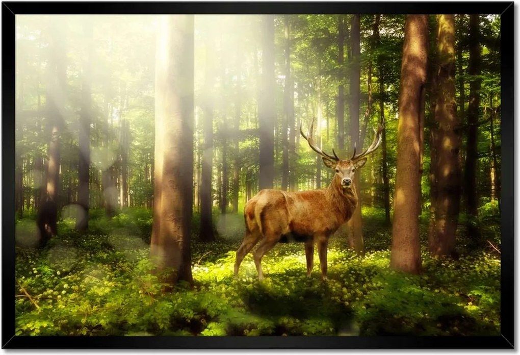 Poszterek keretben 60x40 Szarvas a varázslatos erdőben