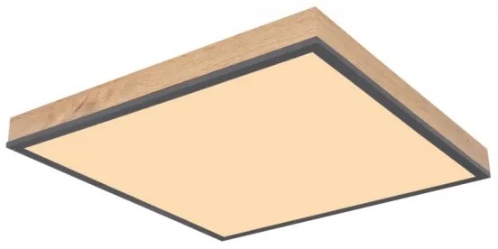 Globo 416080WD2 - LED Mennyezeti lámpa DORO LED/24W/230V