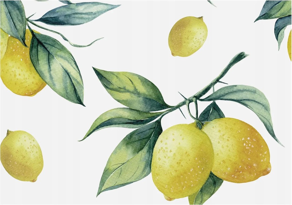 Fotótapéta Flizelin Dekoratív Hálószoba Citrom motívum 312x219