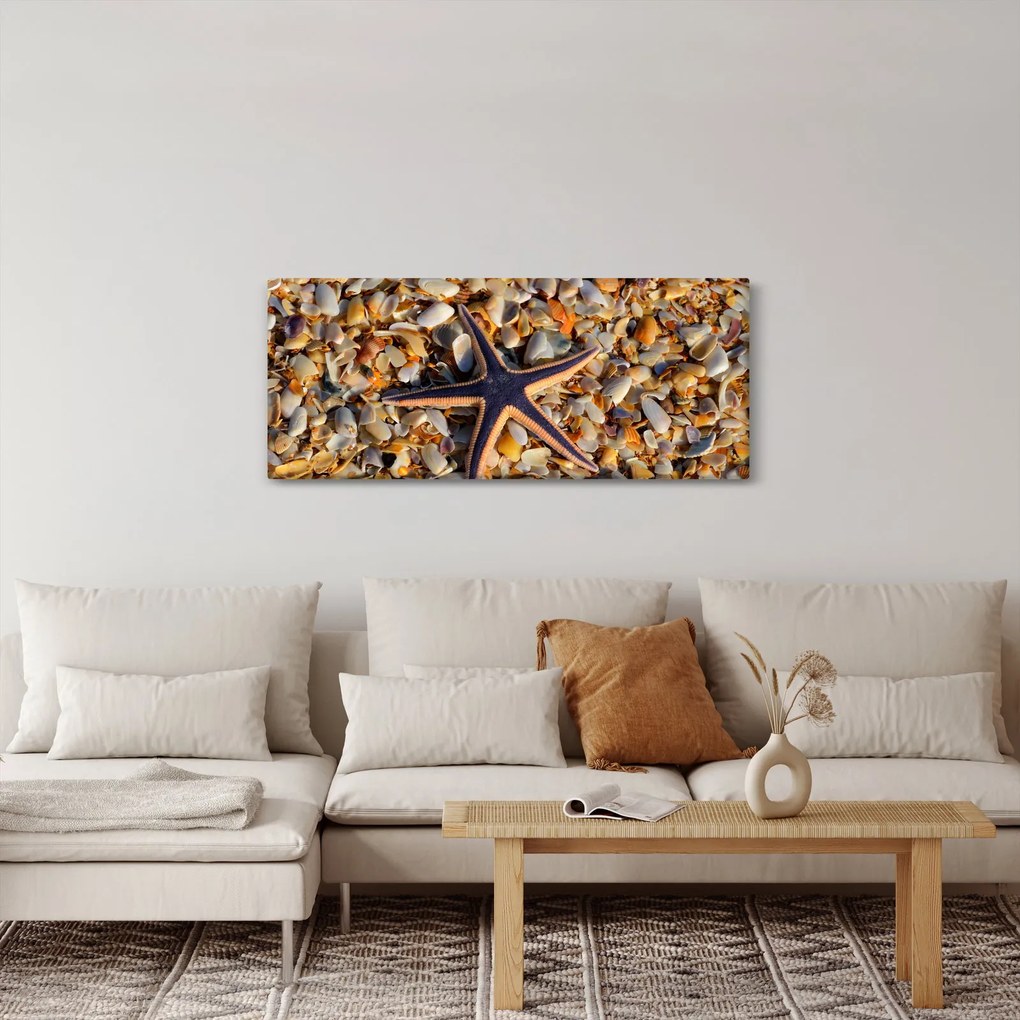Egy tengeri csillag képe (120x50 cm)