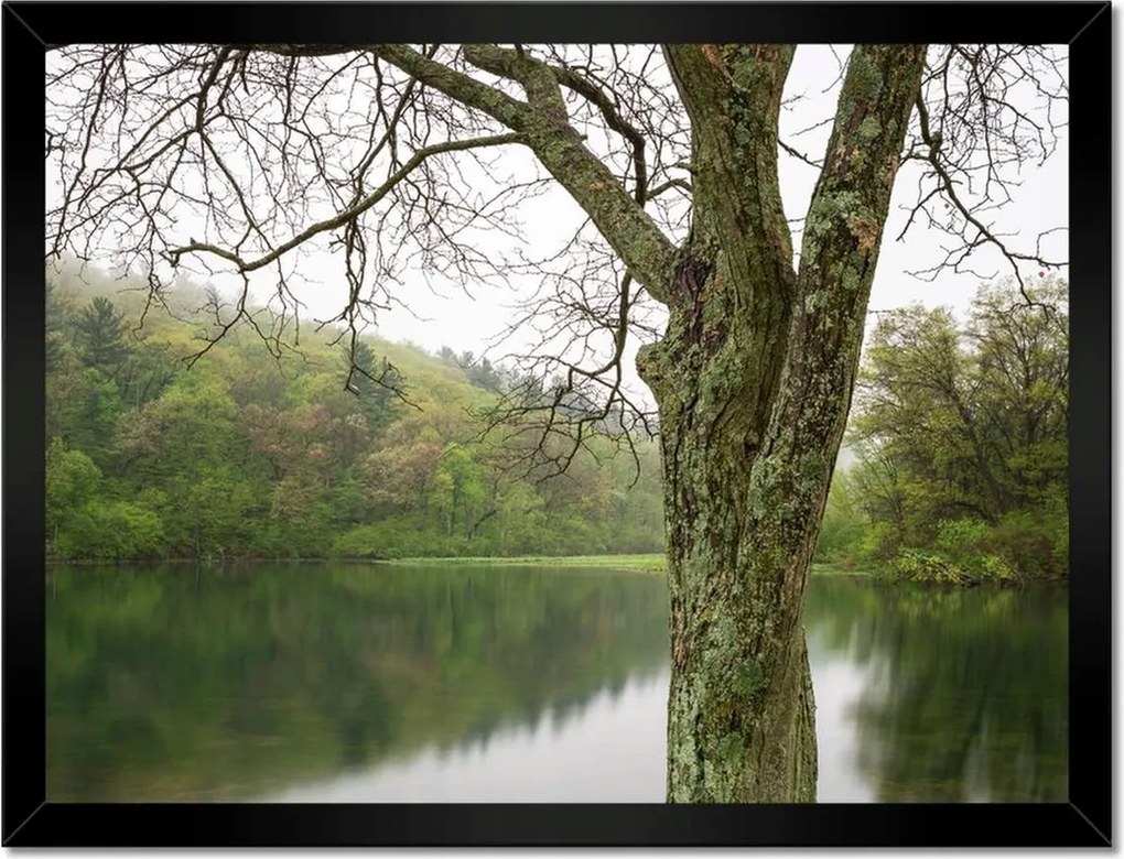 Poszterek keretben 40x30 Fa Folyó Erdő