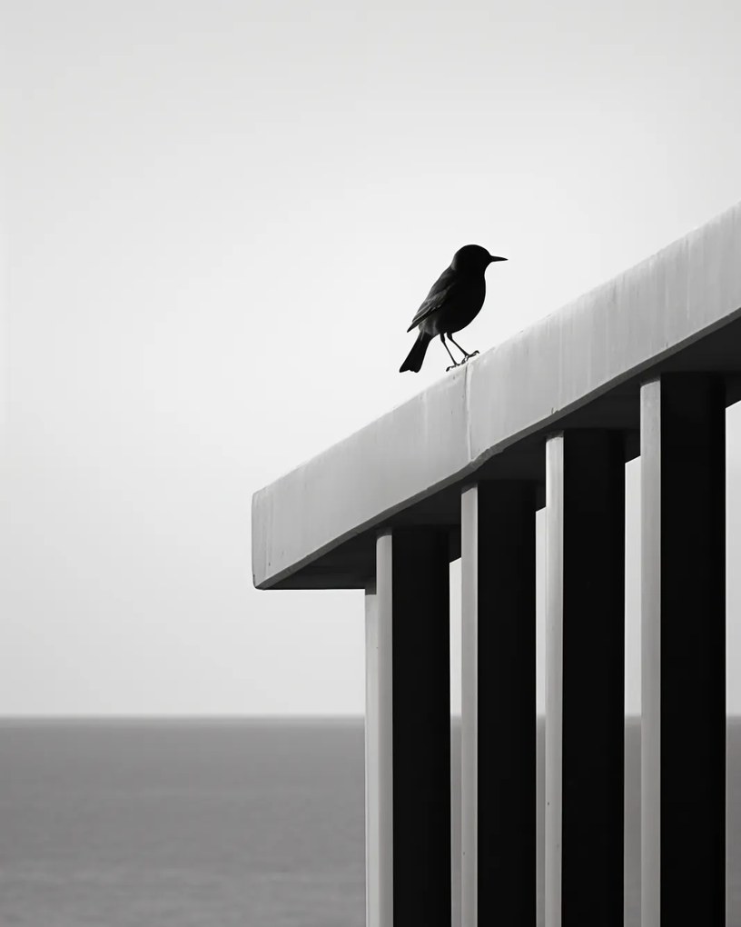 Poszter 40x50cm Magányos absztrakt